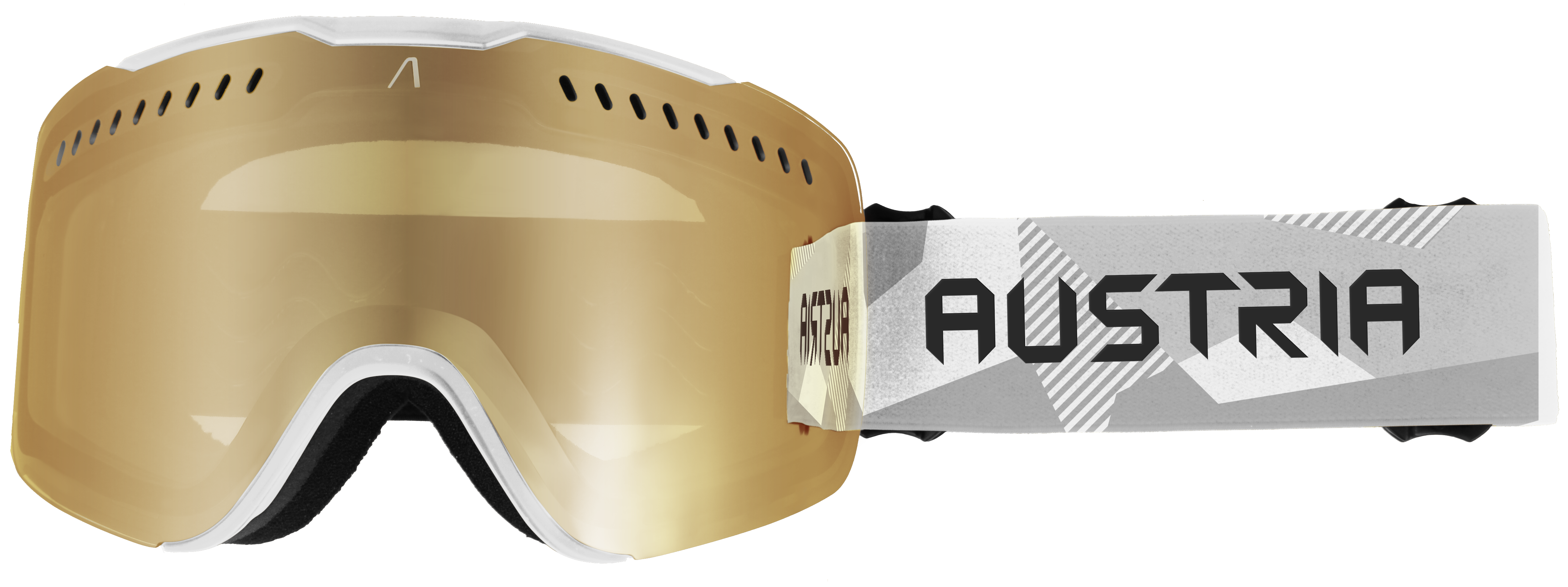 Olympic Team Austria Goggle