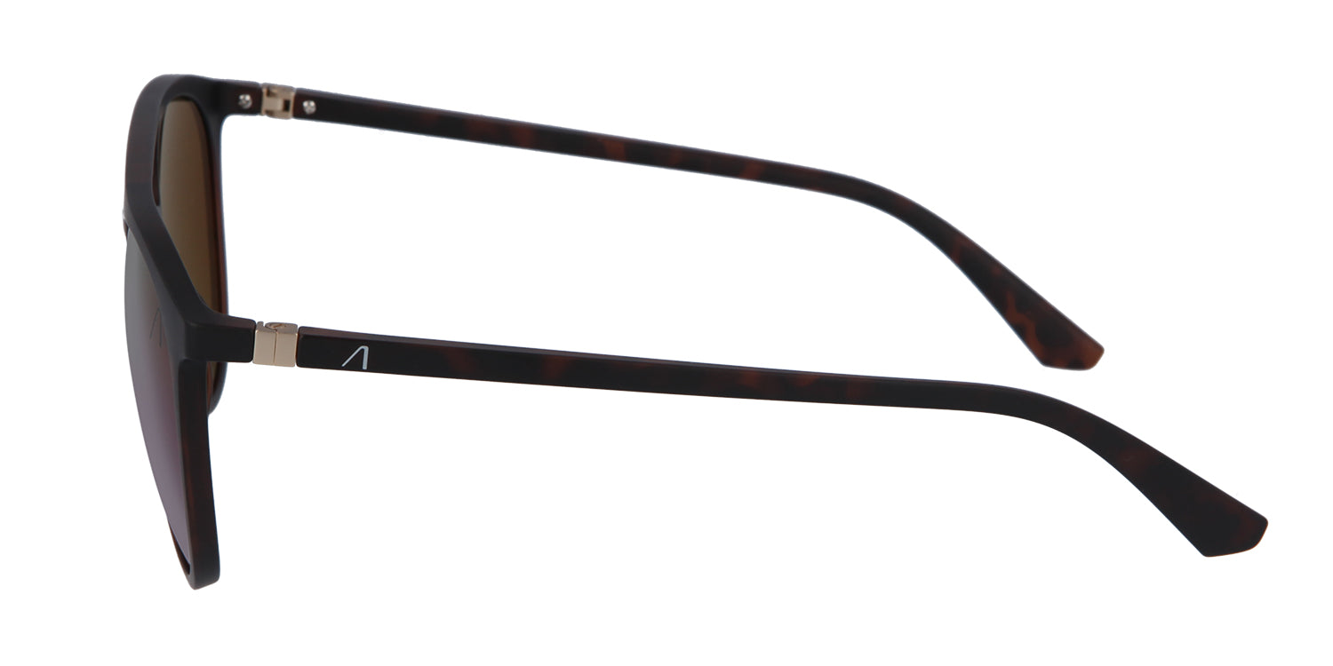 #Color_Havana/Purple